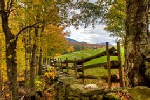 Cambridge