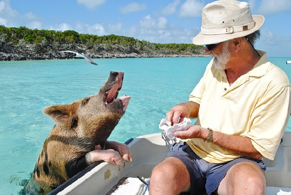 Caribbean Bahamas