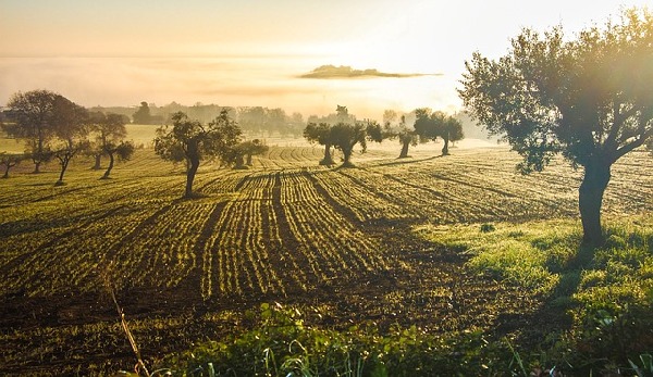 Castelfidardo Marche Italy