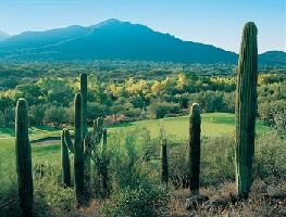 Cave Creek