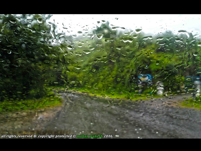 Chikamagalur Karnataka India