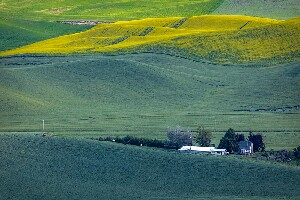 Colfax