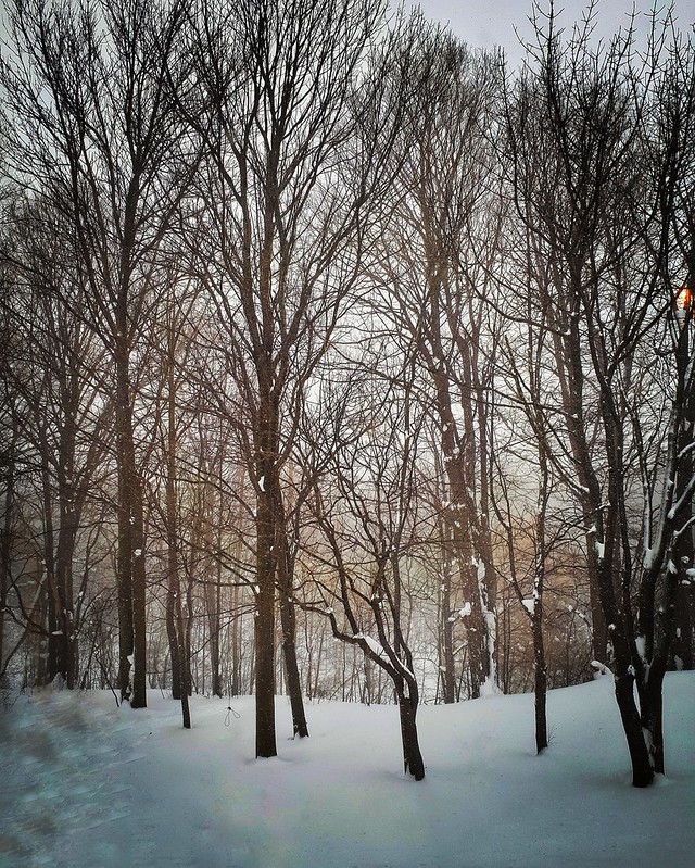 Collingwood Ontario Canada
