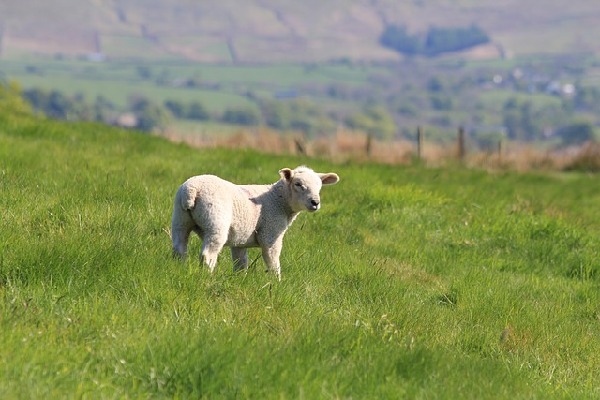 Colne  England