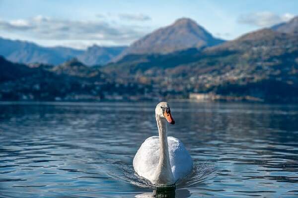 Como  Italy