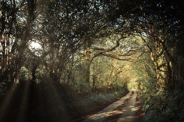 Cornwall  England