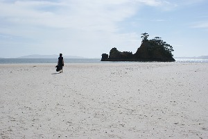 Coromandel