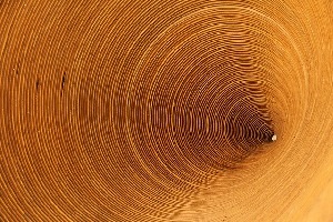 Curitiba