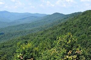 Dahlonega