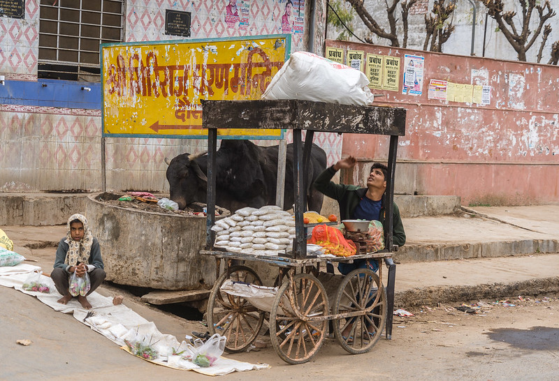 Dausa Rajasthan India