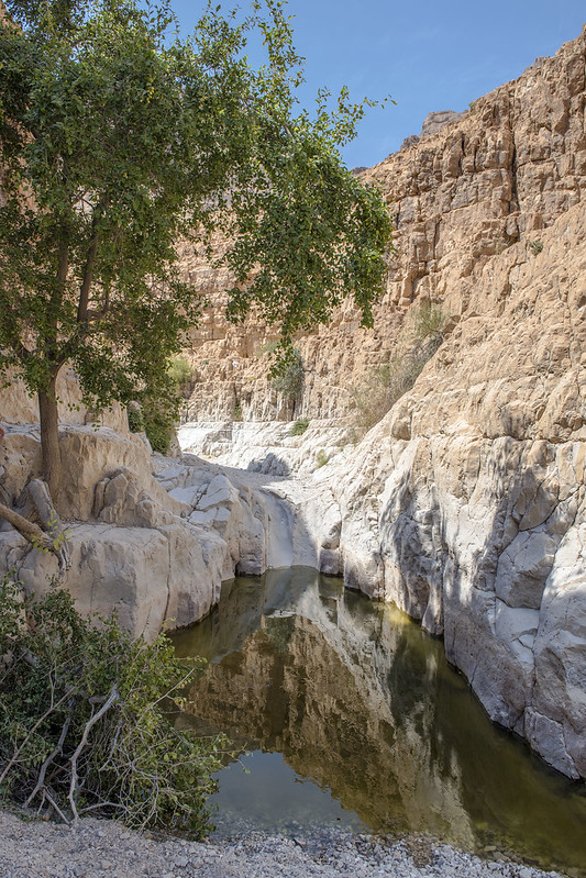 Dead Sea Region  Israel