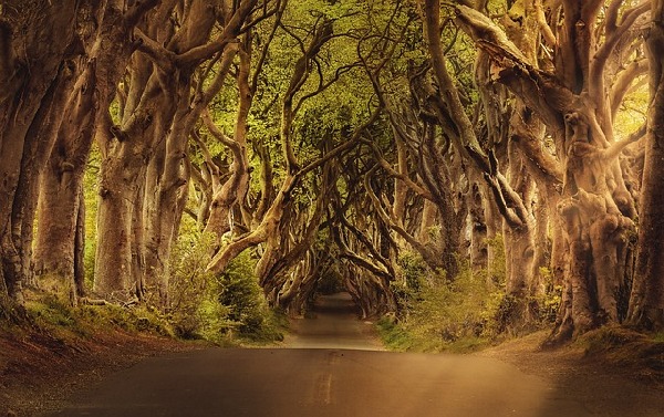 Downpatrick  Northern Ireland