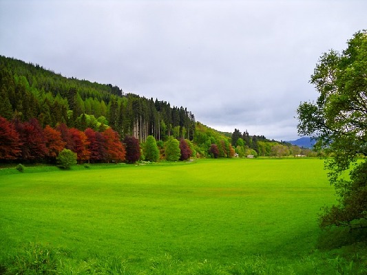 Dunkeld  Scotland