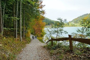 Ellmau