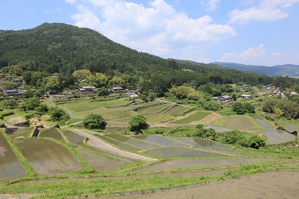 Ena  Japan