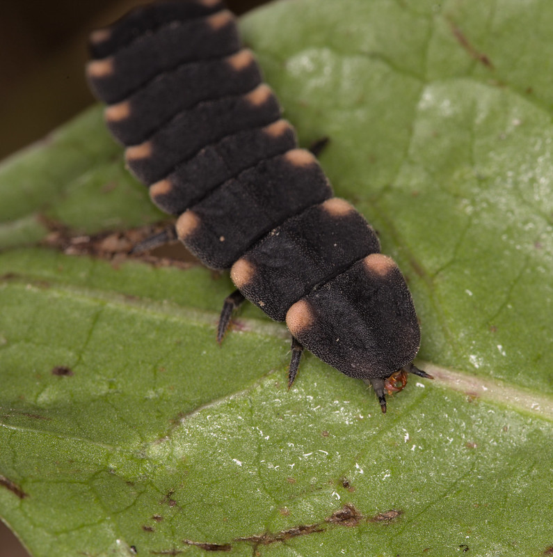 Eure  France