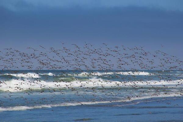 Eureka California United States