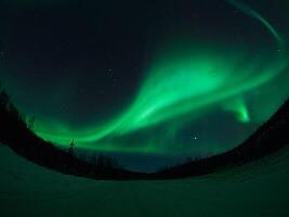 Fairbanks
