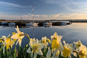 Fife