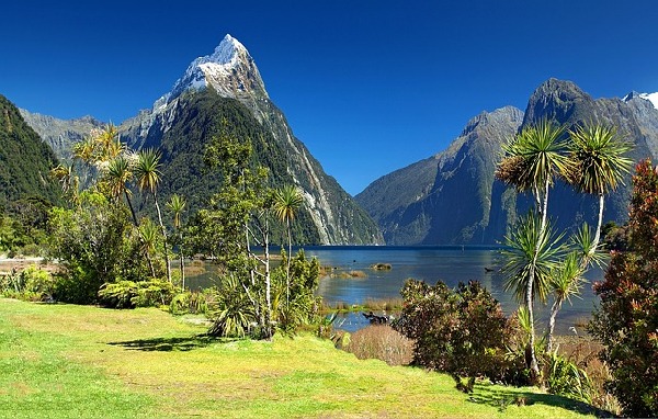 Fiordland National Park  New Zealand