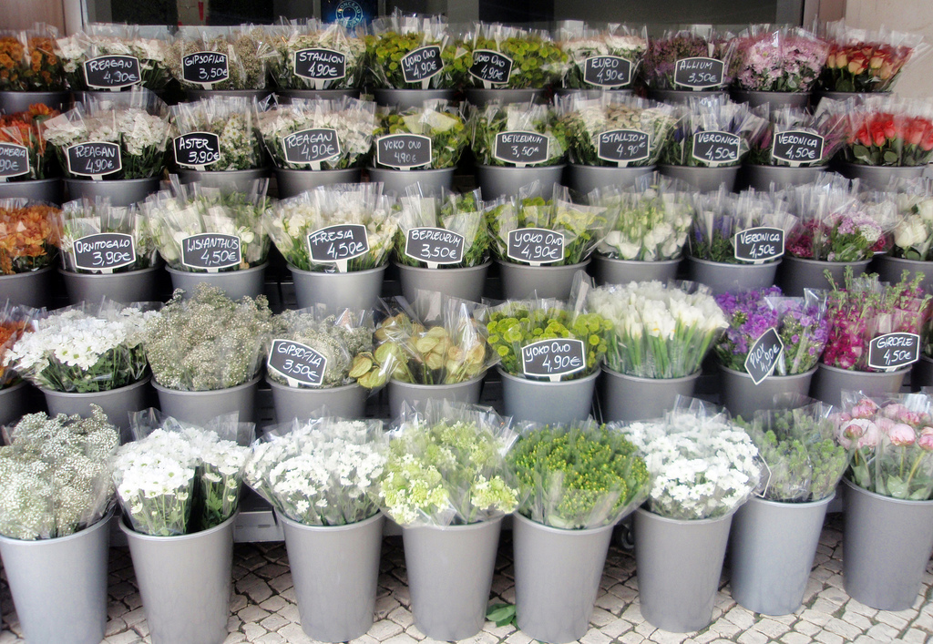 Flores  Portugal