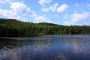Forest Lake