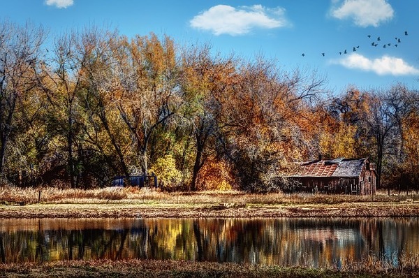 Fort Collins Colorado United States