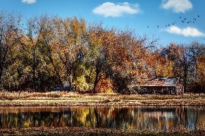 Fort Collins