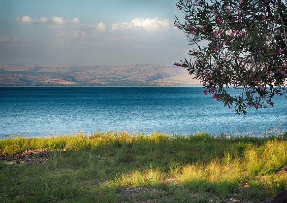Galilee  Israel