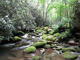 Gatlinburg