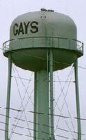 Gays