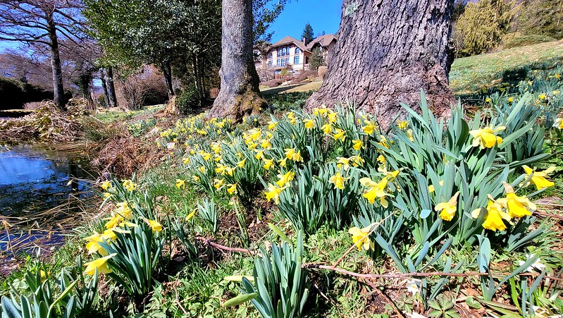 Gerardmer  France
