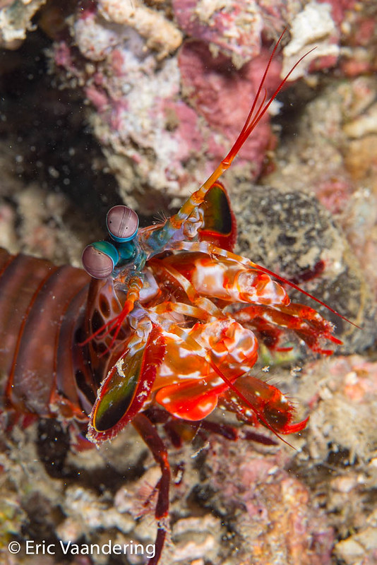 Gerokgak Bali Indonesia