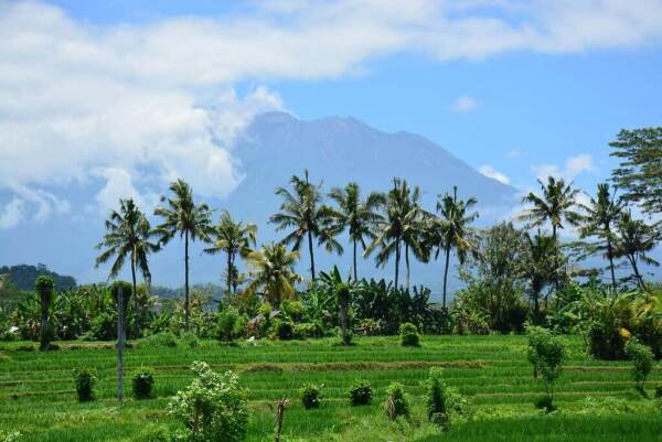 Gerokgak  Indonesia
