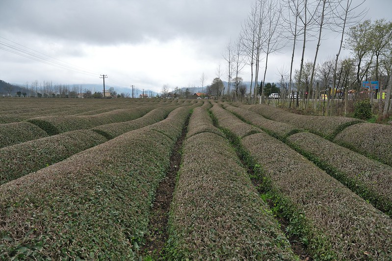 Gilan Province Iran