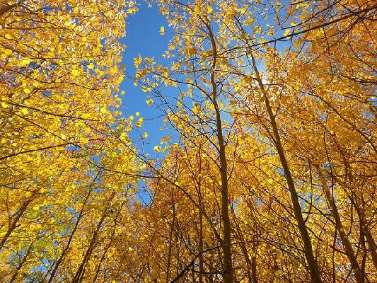 Golden Colorado United States