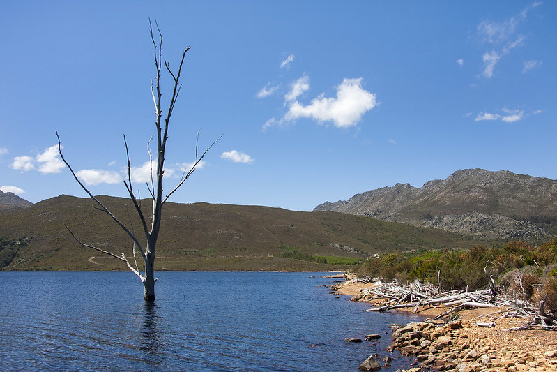 Grabouw  South Africa