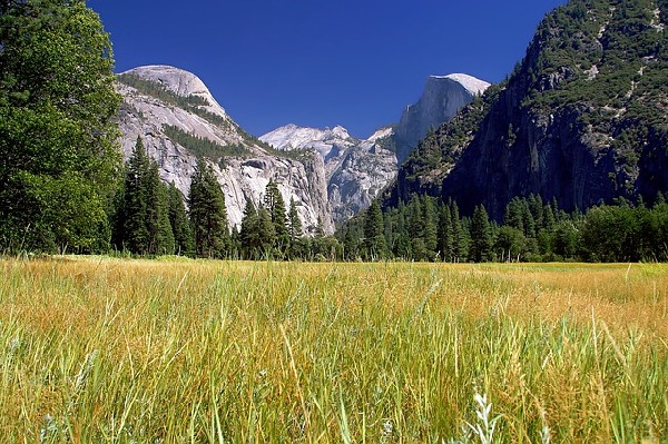 Grass Valley California United States