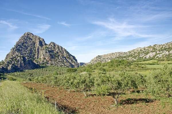 Grazalema  Spain