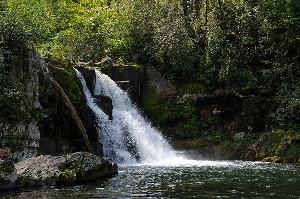 Great Falls