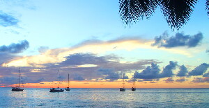 Haapiti