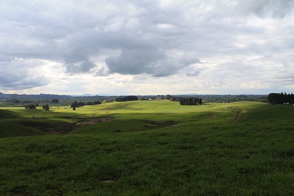 Hamilton  New Zealand