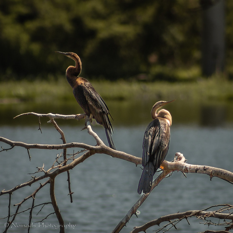 Hazyview  South Africa