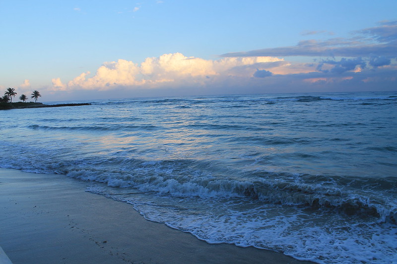 Hilton Rose Hall Resort   Jamaica