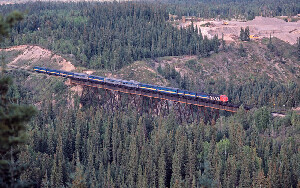 Hinton