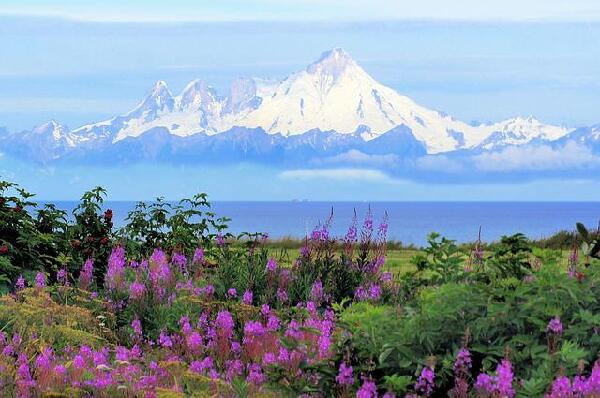 Homer Alaska United States