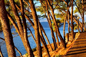 Hvar