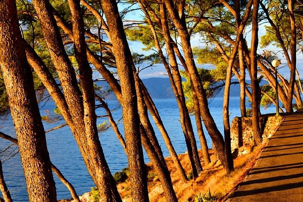 Hvar  Croatia
