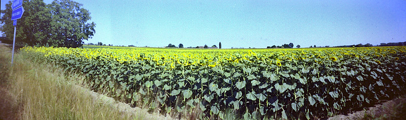 Italy Emilia Romagna Italy