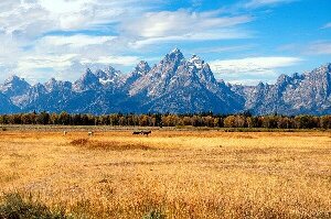 Jackson Hole